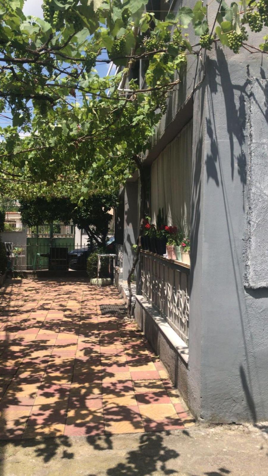 Green Door House Tirana Bagian luar foto